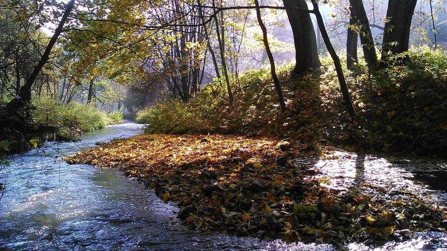 Ojcow National Park: Full-Day Trip from Krakow - What the $153 price includes