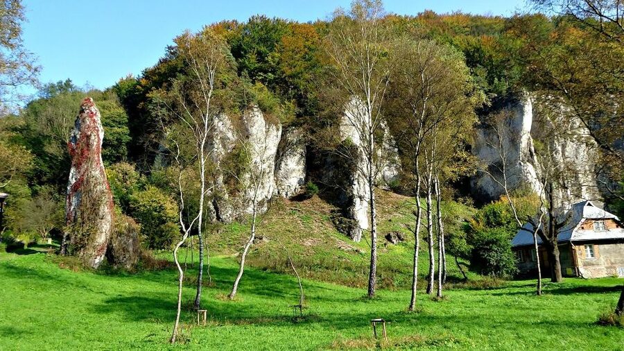Ojcow National Park: Full-Day Trip from Krakow - The guide can shape the day