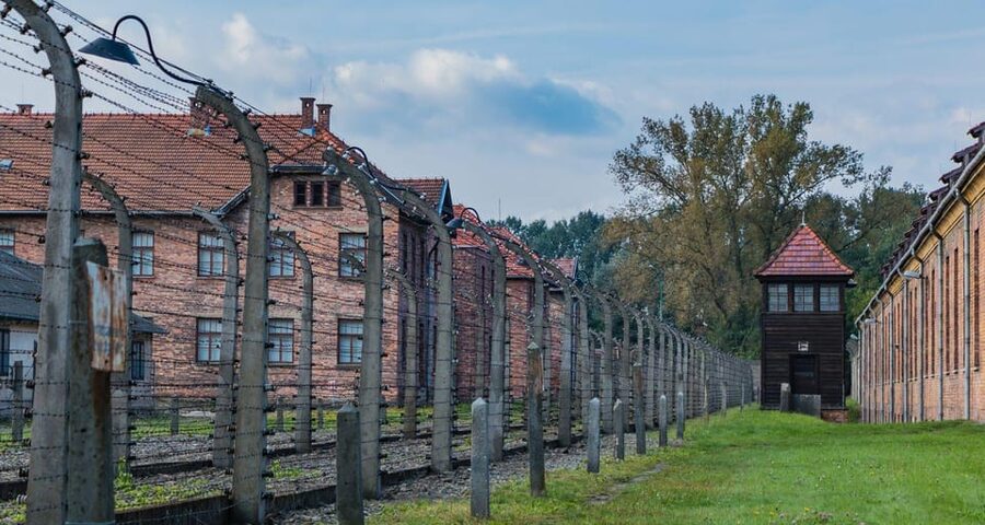 Prague: Tour to Auschwitz Birkenau - The guided visit and the value of a private group