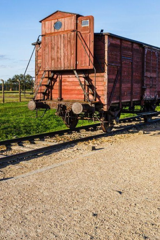 Prague: Tour to Auschwitz Birkenau - One hour for lunch and personal reflection