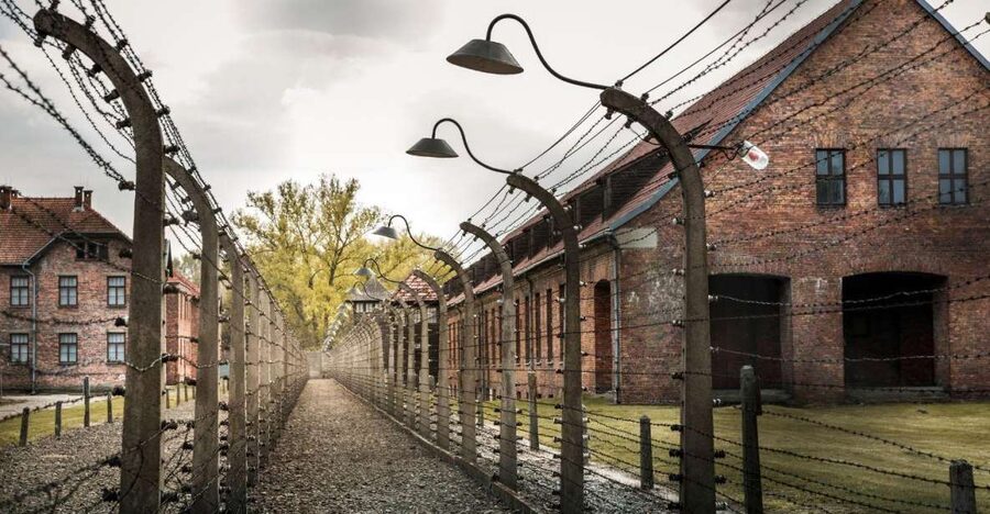 Prague: Tour to Auschwitz Birkenau - Useful preparation for the visit