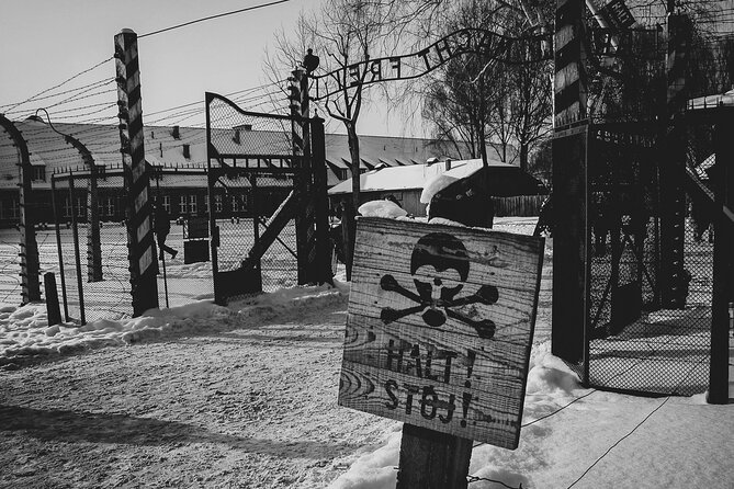 Private Guided Tour Auschwitz Birkenau with Transport from Krakow - A guide, a driver, or both?
