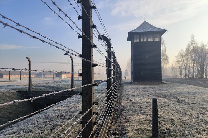 Private Guided Tour to Auschwitz & Birkenau from Krakow - Birkenau: the larger camp and the scale of the crime