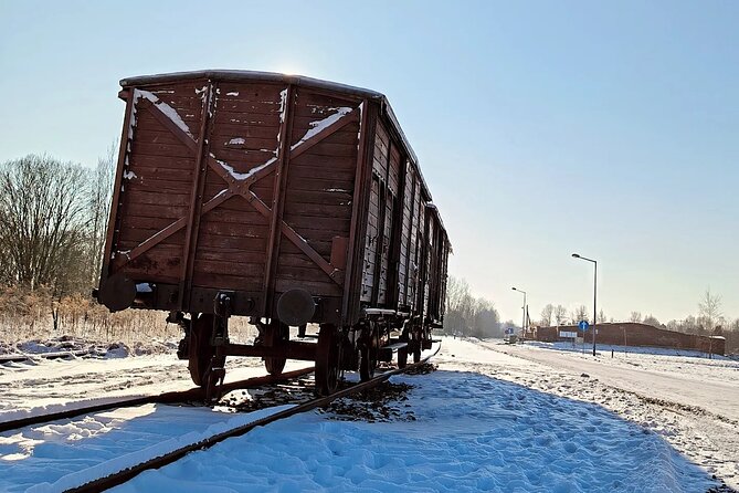 Private Guided Tour to Auschwitz & Birkenau from Krakow - Price, group size, and what you receive