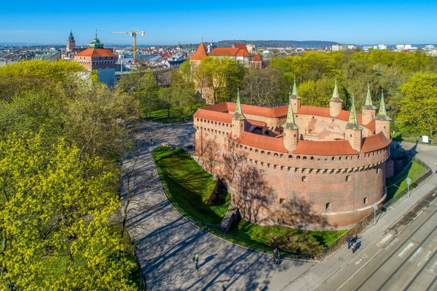Private Krakow Tour: St. Mary’s, Cloth Hall & More - Collegium Maius and the world of medieval learning