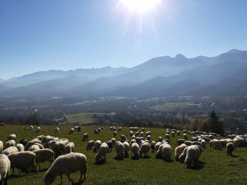 Rafting on Dunajec & Zakopane Tour – Day Trip from Krakow - Key points to know before booking