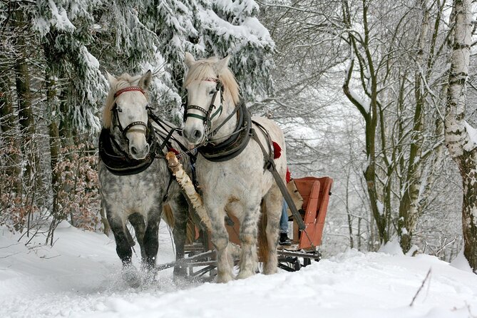Sleigh Ride & Bonfire in Zakopane with Funicular - Private Trip - Key points to know before you book