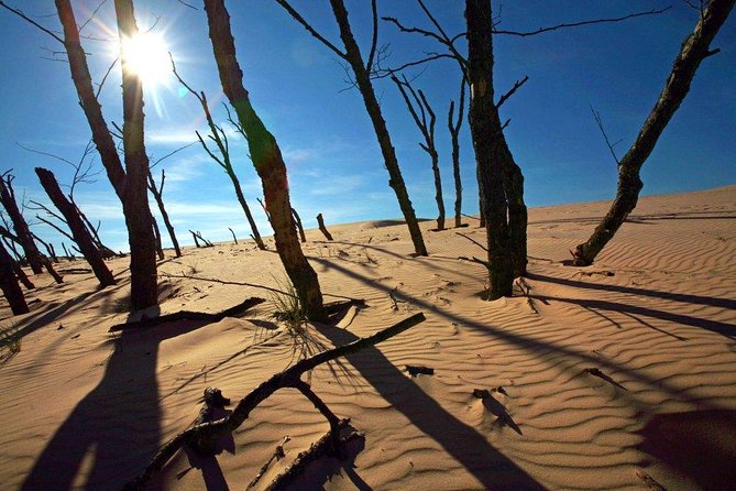 Slowinski National Park Private Tour - Who Will Enjoy This Park Visit Most?