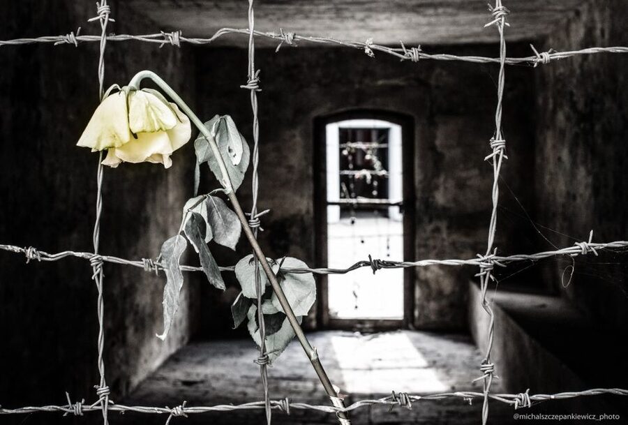 Stutthof Concentration Camp Half-Day Private Tour - The gas chamber and crematorium