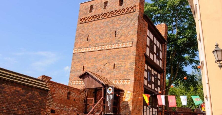 Torun Living Museum of Gingerbread and Old Town Private Walk - Starting at the Copernicus Monument