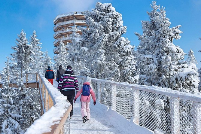 Treetop Walk in Slovakia and Thermal Baths from Krakow - Why this Krakow day trip works