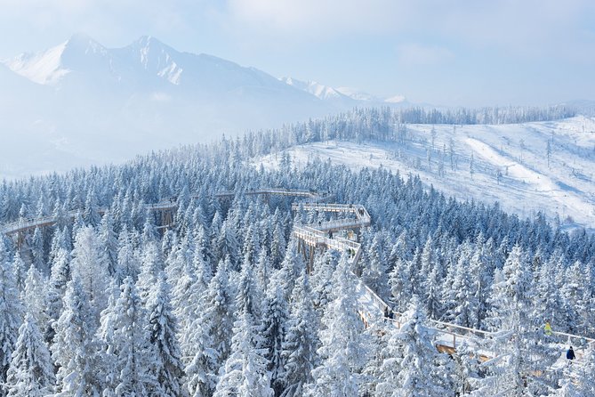 Treetop Walk in Slovakia and Thermal Baths from Krakow - What the $204.27 price really covers