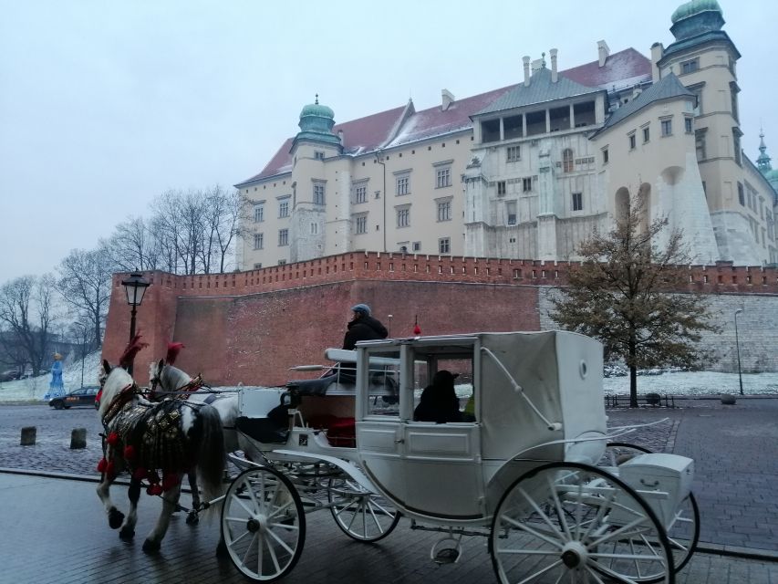Warsaw: Auschwitz-Birkenau and Krakow Tour by Car - Key points at a glance