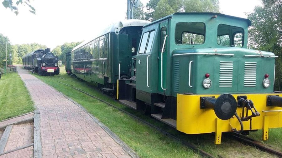 Warsaw: Bialowieza National Park and European Bison Tour - Key points to know before booking