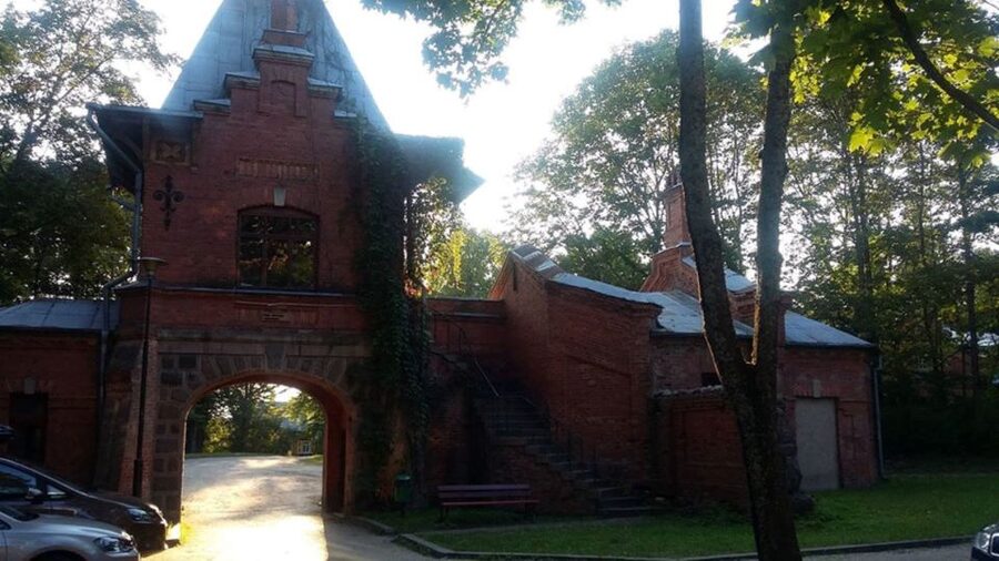 Warsaw: Bialowieza National Park and European Bison Tour - Meeting Europe’s largest land animal