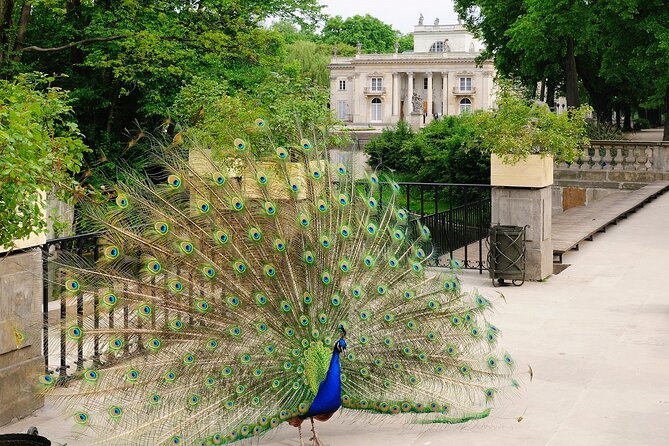 Warsaw City Tour - PRIVATE (4h) - Łazienki Park and the Rose Garden