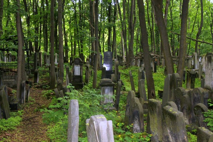 Warsaw Jewish Heritage Private Tour in Retro Fiat - Muranów, rebuilt on the ghetto ruins