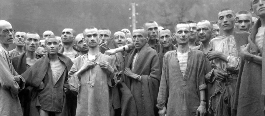 Warsaw: Majdanek Concentration Camp, Lublin Day Trip by Car - Who should choose the 8-hour tour?