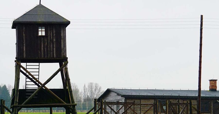 Warsaw: Majdanek Concentration Camp & Lublin Guided Day Tour - A traditional Polish lunch in a milk bar