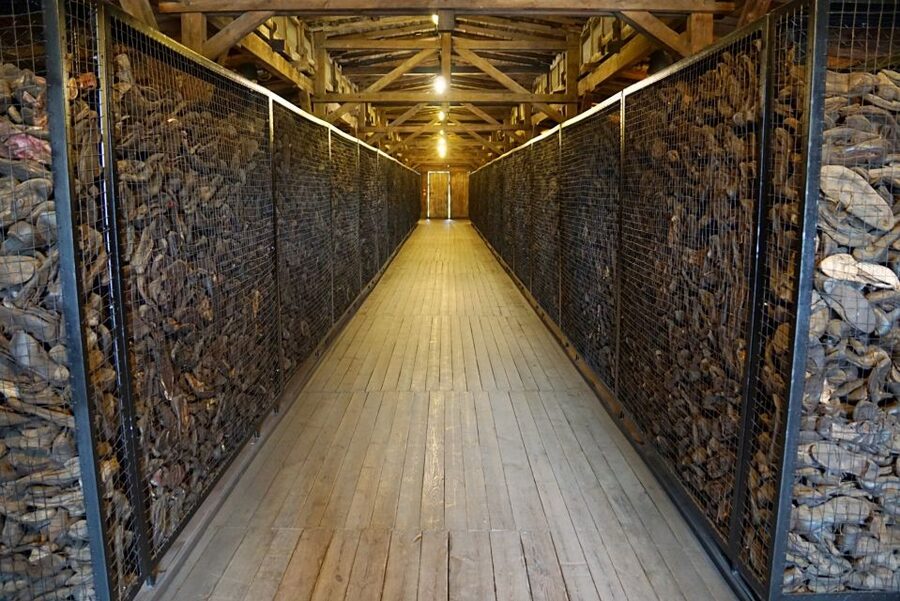 Warsaw: Majdanek Concentration Camp & Lublin Guided Day Tour - Walking, clothing, and practical limits