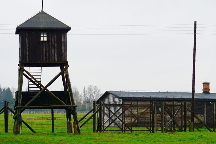Warsaw: Majdanek Concentration Camp & Lublin Guided Day Tour - Six hours on the road from Warsaw