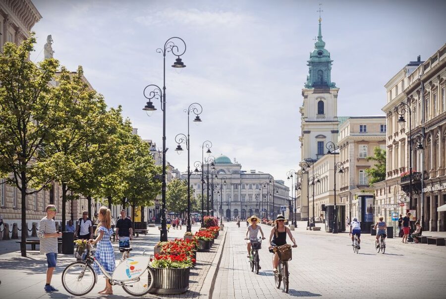 Warsaw: Old and New Town Private Walking Tour - Starting at Sigismund’s Column and the Royal Castle
