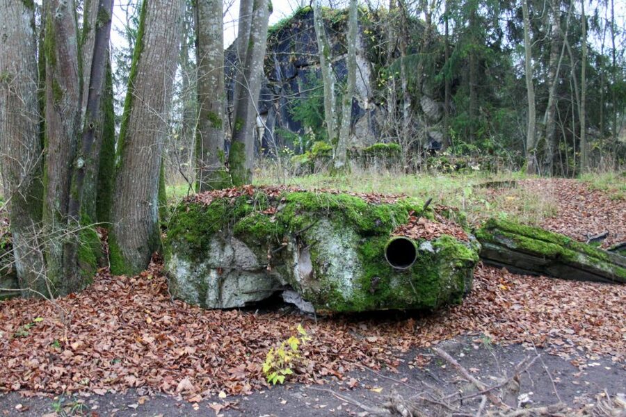 Warsaw: Private Full-Day Wolf's Lair Tour - Key points before you book