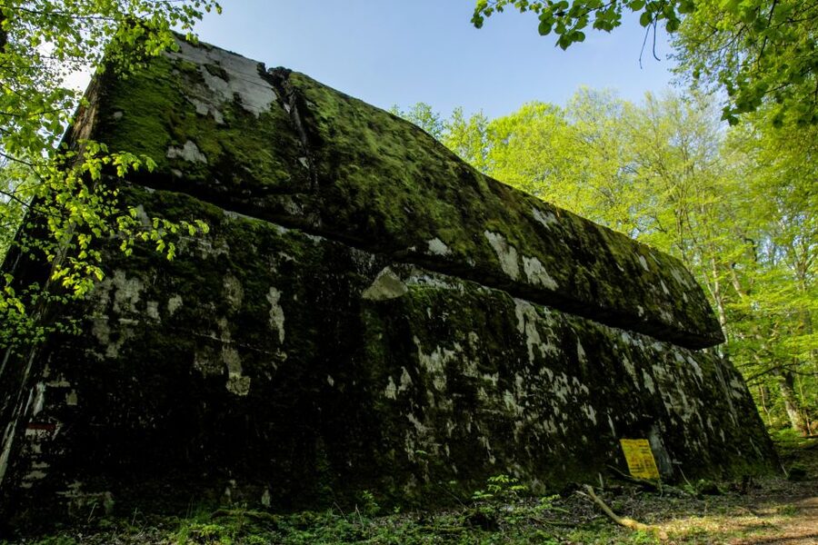 Warsaw: Private Full-Day Wolf's Lair Tour - Why Wolf’s Lair is worth the long ride