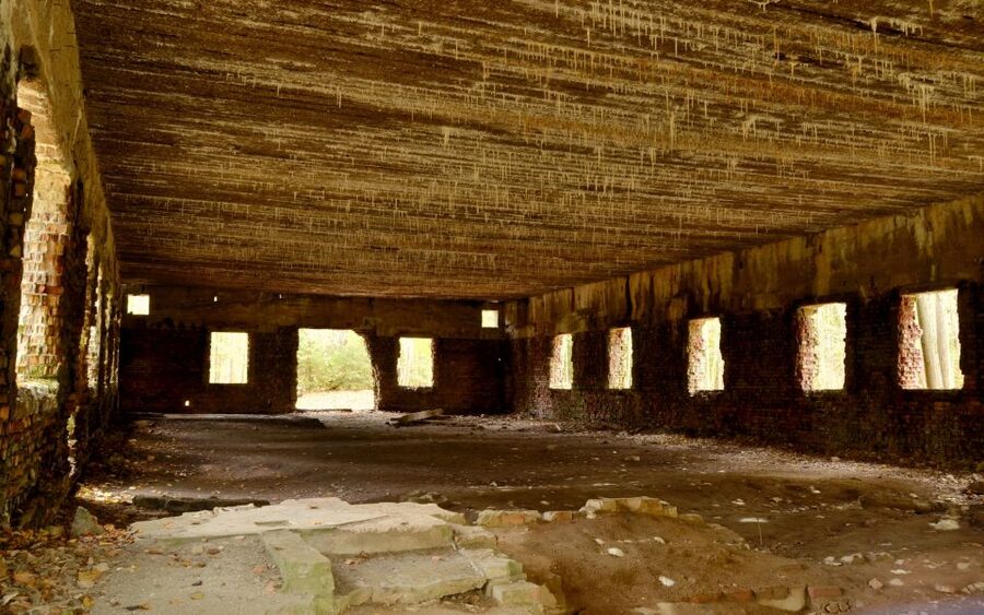 Warsaw: Private Full-Day Wolf's Lair Tour - Walking through Hitler’s bunker complex