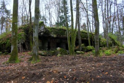 Private Full-Day Wolf’s Lair Tour