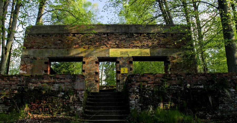 Warsaw: Private Full-Day Wolf's Lair Tour - Choosing your extra stop on the return
