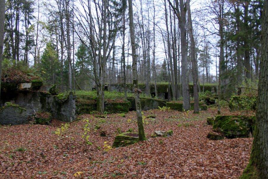 Warsaw: Private Full-Day Wolf's Lair Tour - Practical details for the day