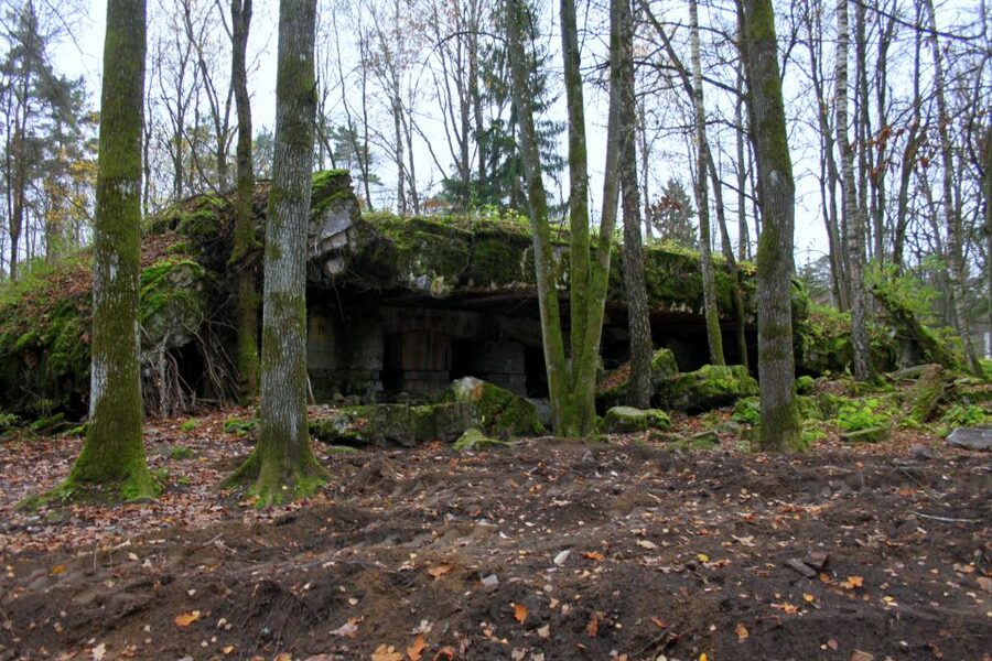 Warsaw: Private Full-Day Wolf's Lair Tour - The journey from Warsaw to Masuria