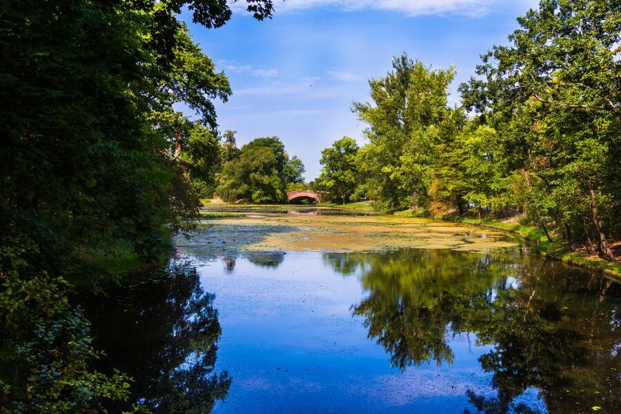 Warsaw Private Wilanow Palace & Garden Tour - What a private guide adds to the visit