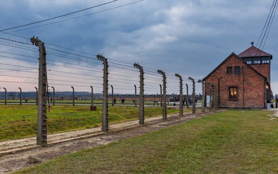 Warsaw to Auschwitz and Krakow Old Town Full-Day Trip by Car - What the $483 price gets you