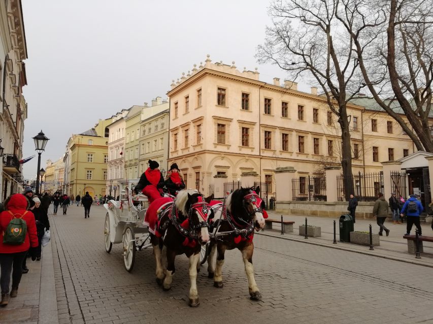 Warsaw: Tour to Krakow and Auschwitz by Train with Pickup - Who should book this tour?