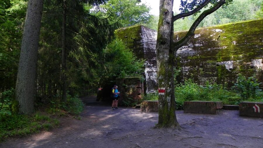 Warsaw Wolf’s Lair with St. Lipka and Mamerki Private Guided - Guides, languages, and communication
