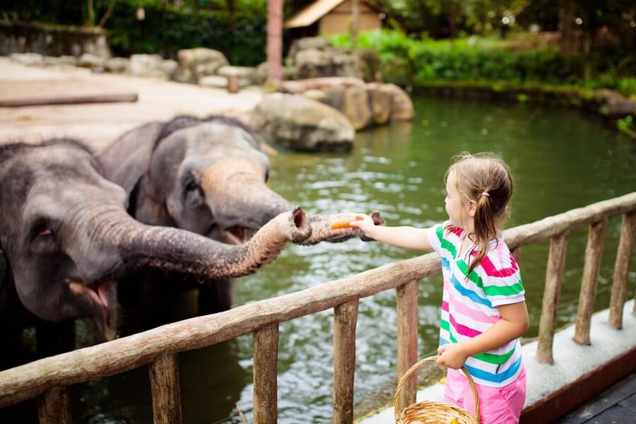 Warsaw Zoo Skip-the-Line Entry Ticket with Private Transport - Four to four and a half hours among the animals