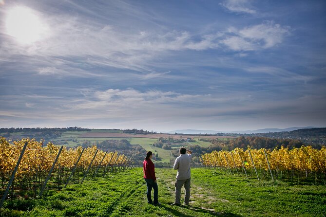 Wieliczka Vineyard: Wine tasting with local snacks - Key Points to Know Before You Book