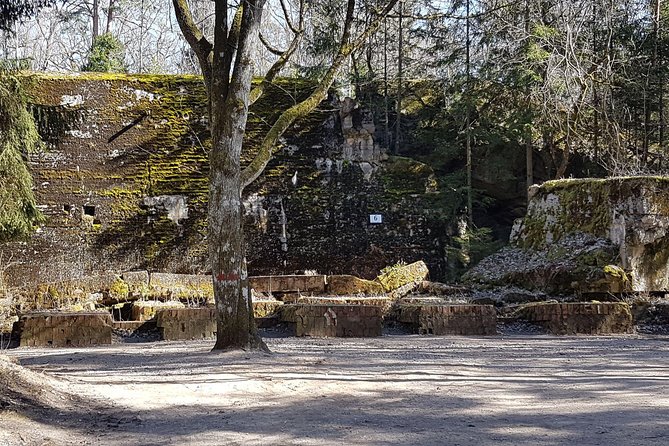 Wolf's Lair & Treblinka Tour in 1 day from Warsaw - Who should book this day trip?