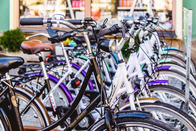 Wroclaw: 3-Hour Bike Tour in English - Passing the University of Wroclaw