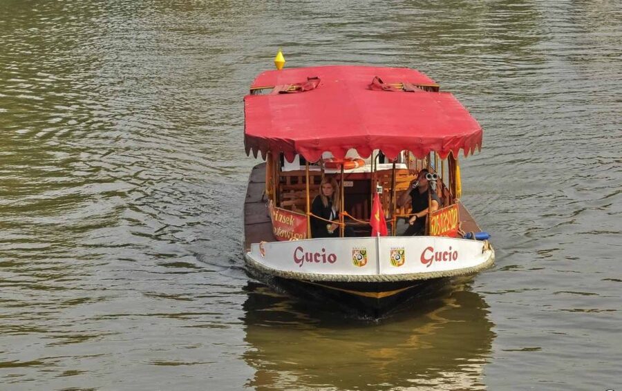 Wrocław: city walk with a professional guide and cruise - Who should choose this Wrocław experience?