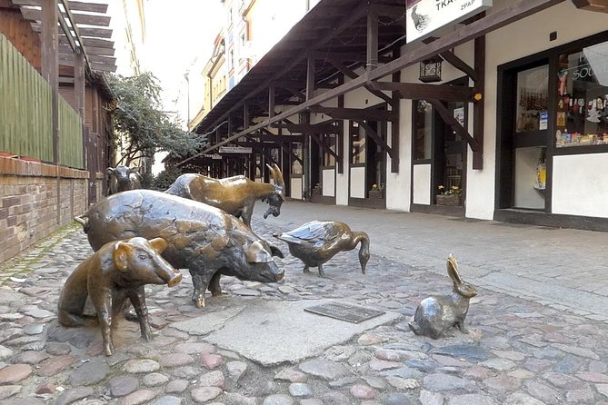 Wroclaw Old Town Private Tour - Jatki and Wroclaw’s medieval shopping quarter