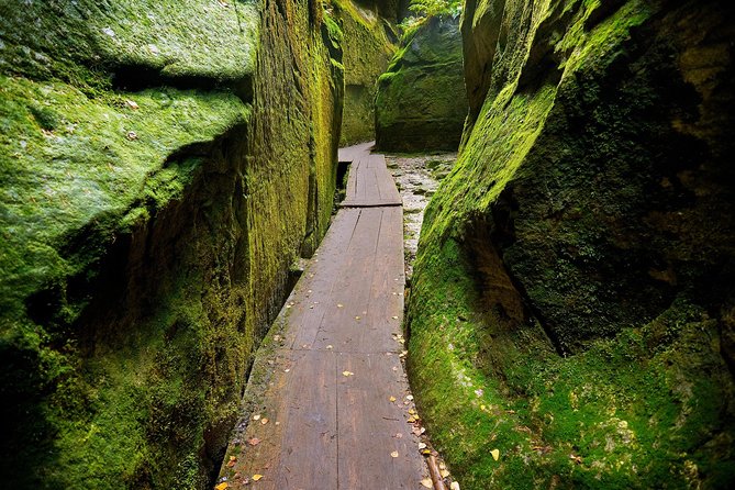 Wroclaw to Rock City in Adsprach and Church of Peace in Świdnica Private Tour - Who should book this experience?