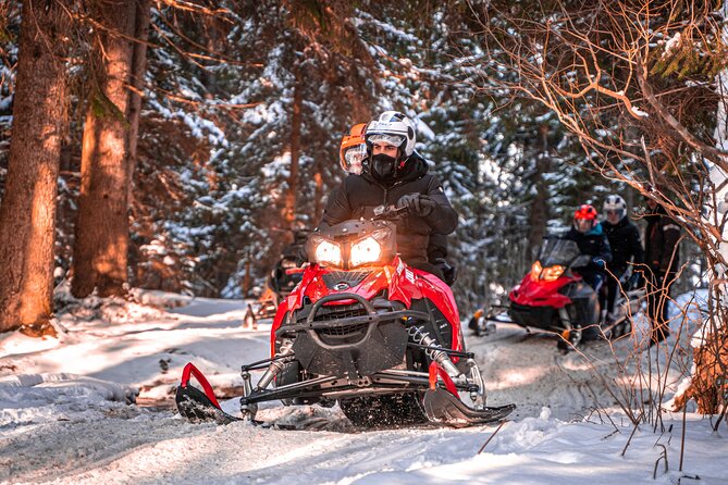 Zakopane: 3 hours Snowmobiles Guided Tour with bonfire and meal - Why this ride adds something different to Zakopane