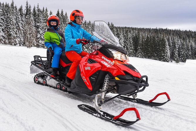 Zakopane: 3 hours Snowmobiles Guided Tour with bonfire and meal - Snow conditions and the 4x4 backup plan