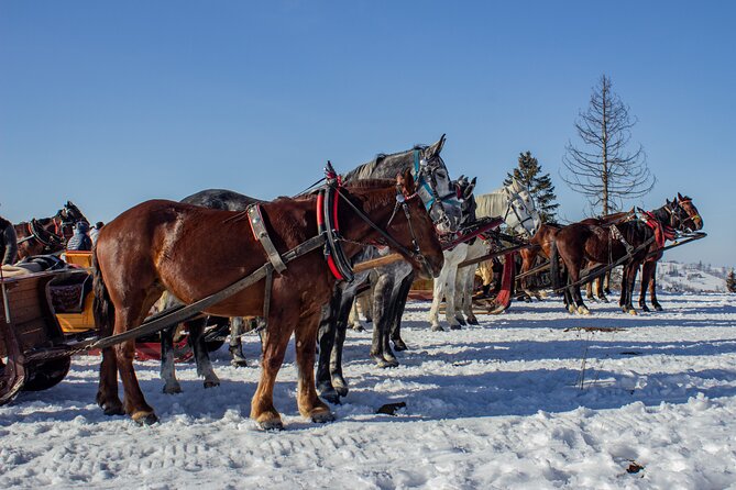 Zakopane Horse-Drawn Rides with Local Guide and Food Tasting - Winter sleighs or warm-season carriages