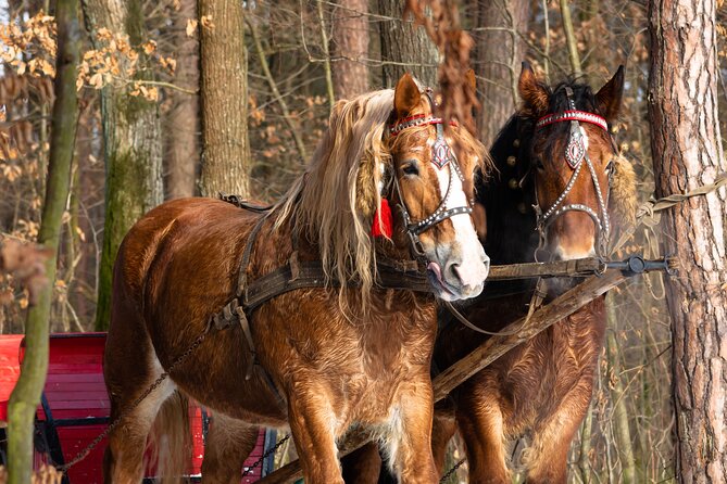 Zakopane Horse-Drawn Rides with Local Guide and Food Tasting - Bonfire food with a taste of Podhale