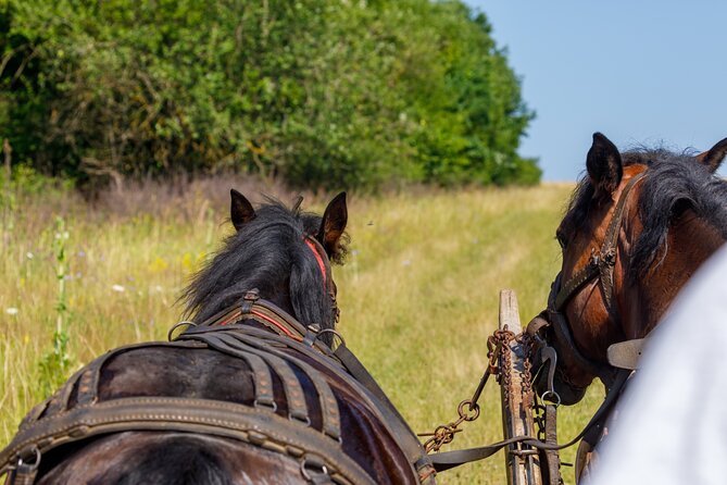Zakopane Horse-Drawn Rides with Local Guide and Food Tasting - Pickup, timing, and the important location question