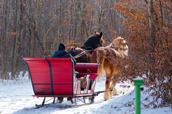 Zakopane Horse-Drawn Rides with Local Guide and Food Tasting - What is included, and what the value depends on